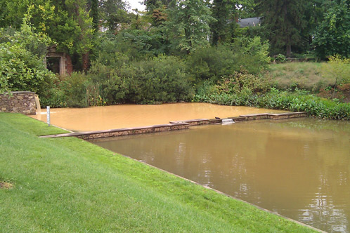The Dell Pond with visible sediment in the water after rainfall