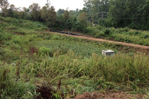 Dry pond at the Fontana Food Center