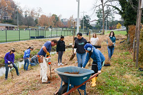 Volunteers restoring a storm runoff ditch